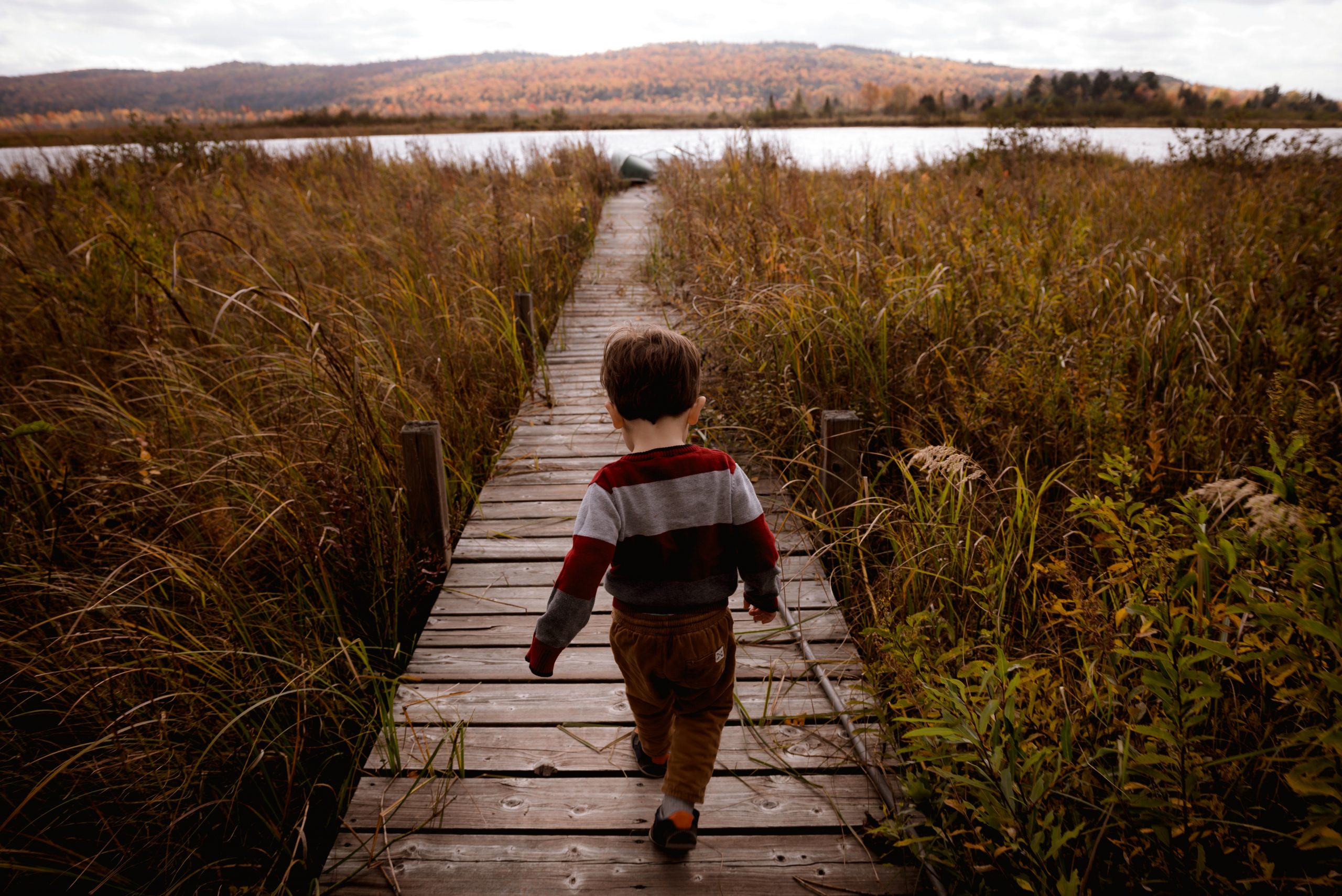 dziecko przechodzące się drewnianym molo przy jeziorze jesienią